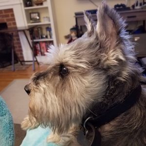 Meet your Posher, Kim